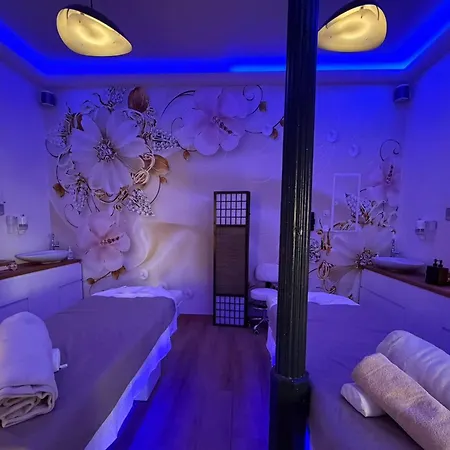 Premium Komfortwohnung Mit Balkon 120 Qm Und 2 Schlafzimmern Im Zentrum * Bad Harzburg